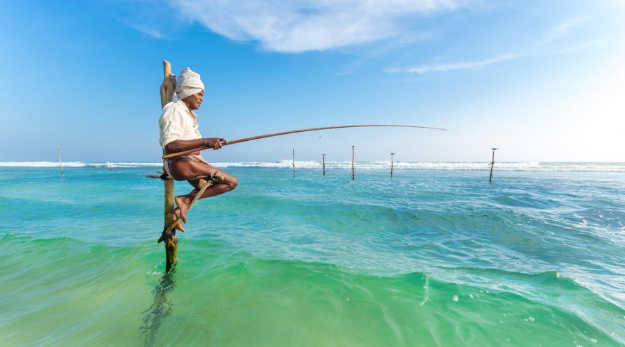 Stilt fishing - Gallery Image 6